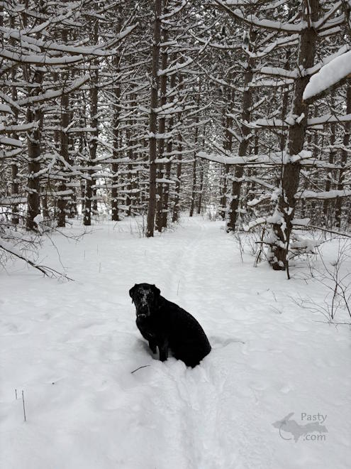 Photo by Abigail Larson