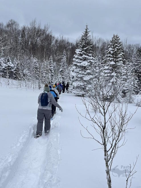 Photo by Deborah Goodell