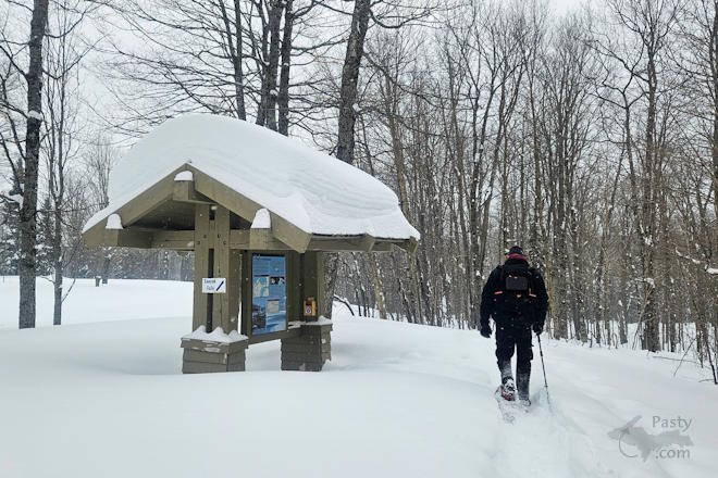 Photo by Michelle Lutke