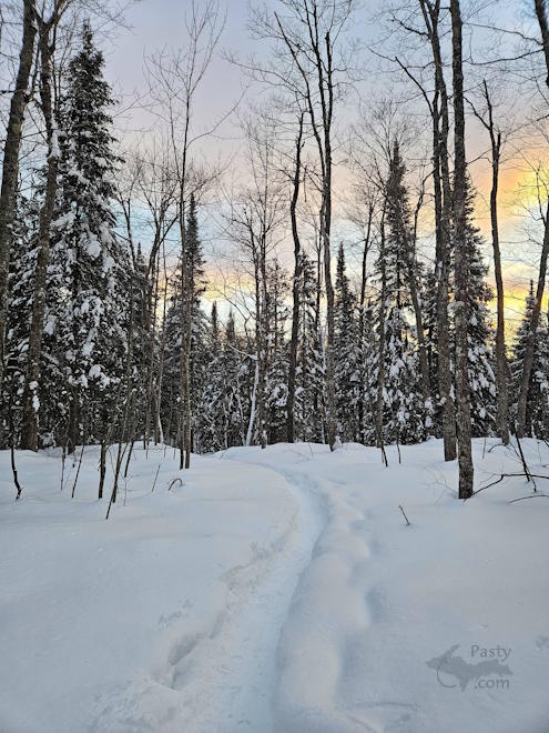 Photo by Michelle Lutke