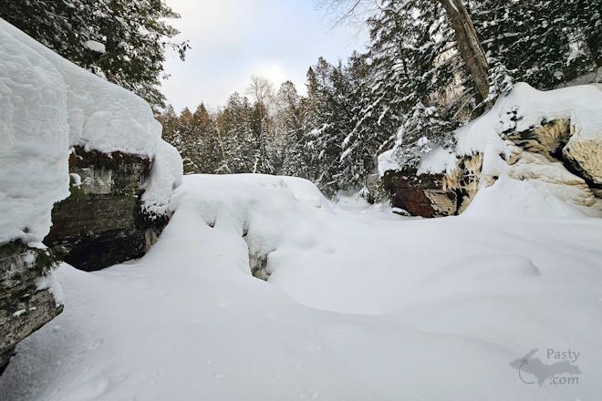 Photo by Michelle Lutke