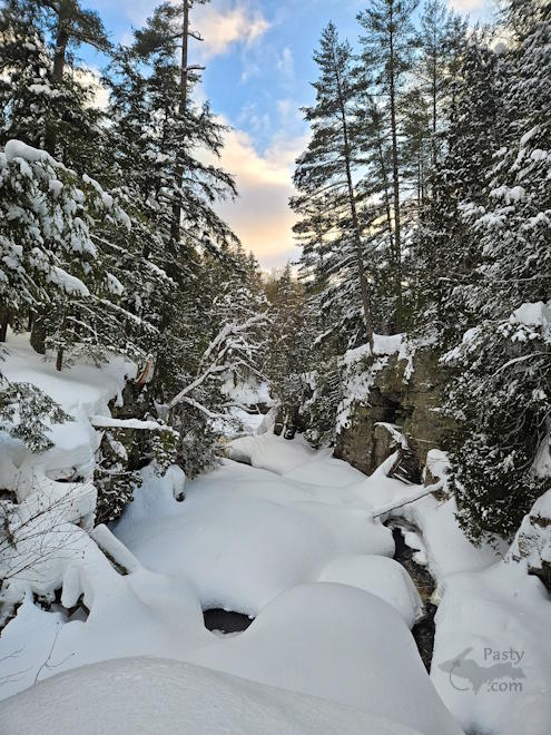 Photo by Michelle Lutke