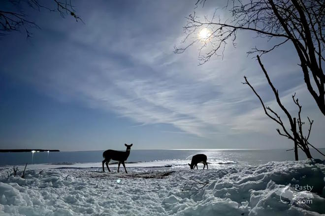 Photo by Jeff Dennis