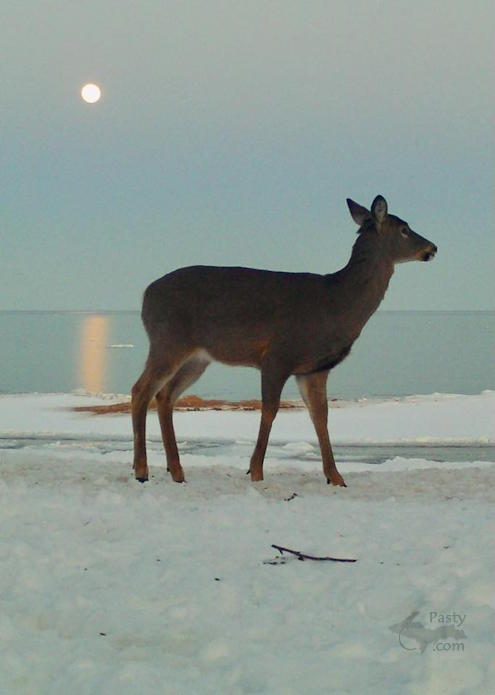 Photo by Jeff Dennis