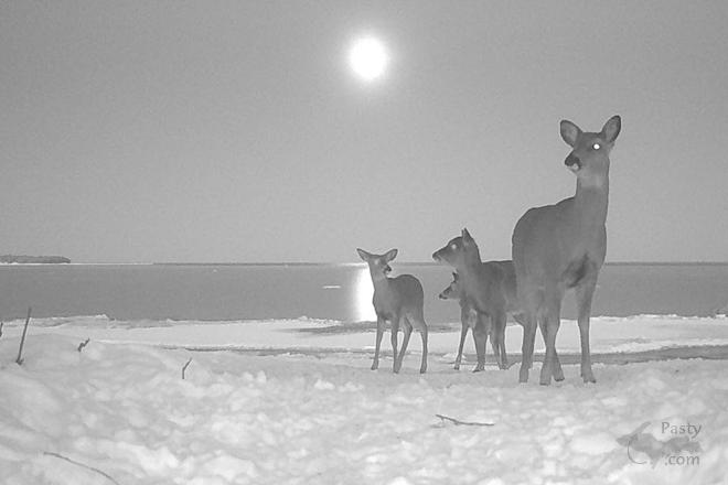 Photo by Jeff Dennis