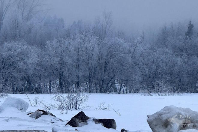 Photo by Judy Byykkonen