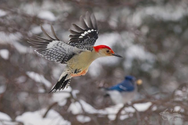 Photo by Kevin Dunham