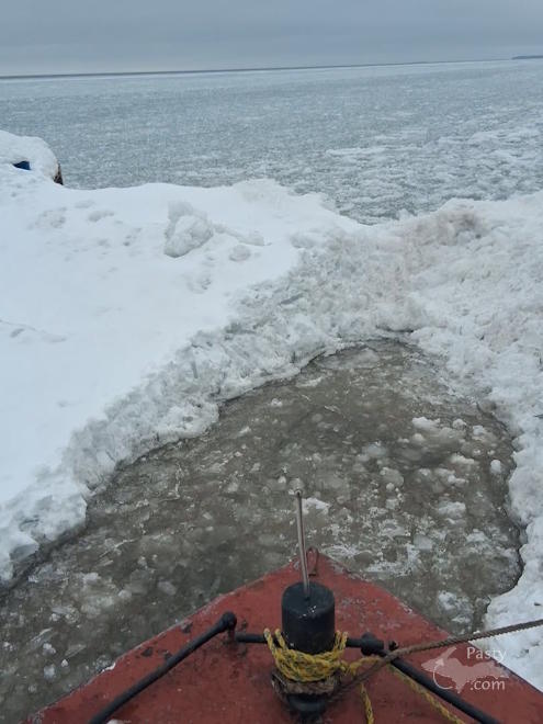 Photo by Peterson's Fish Market