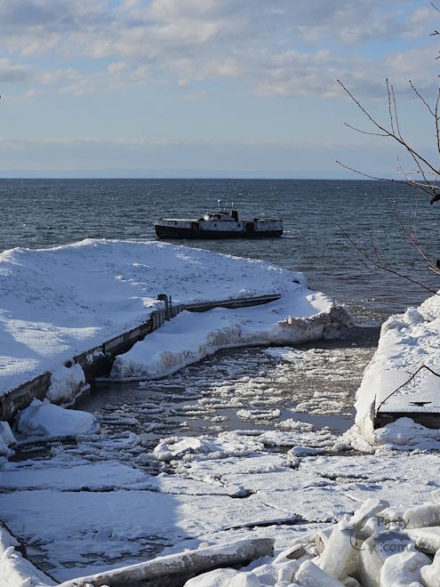 Photo by Peterson's Fish Market