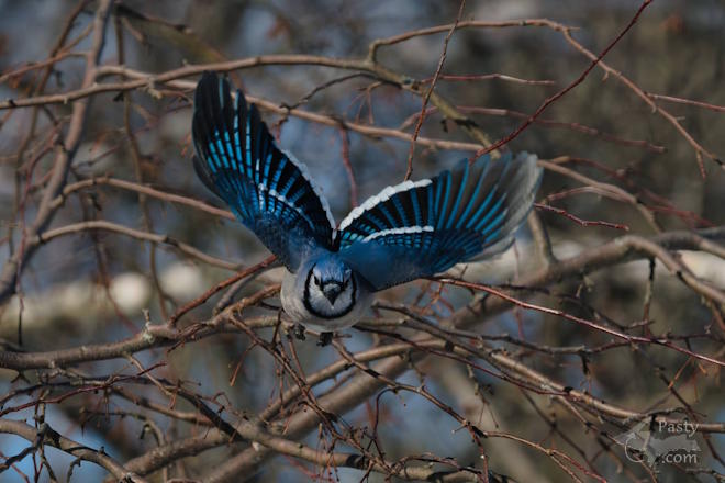 Photo by Kevin Dunham
