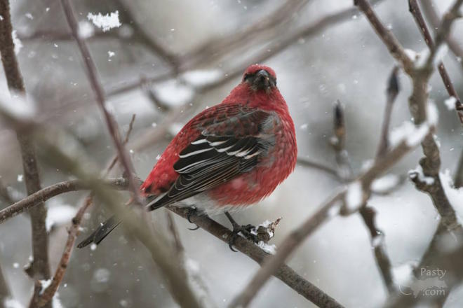 Photo by Kevin Dunham