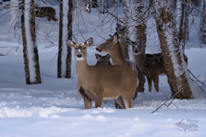 Photo by Kevin Dunham