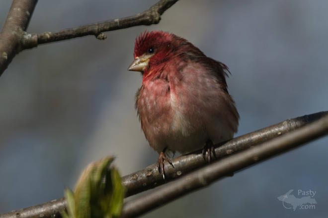 Photo by Kevin Dunham