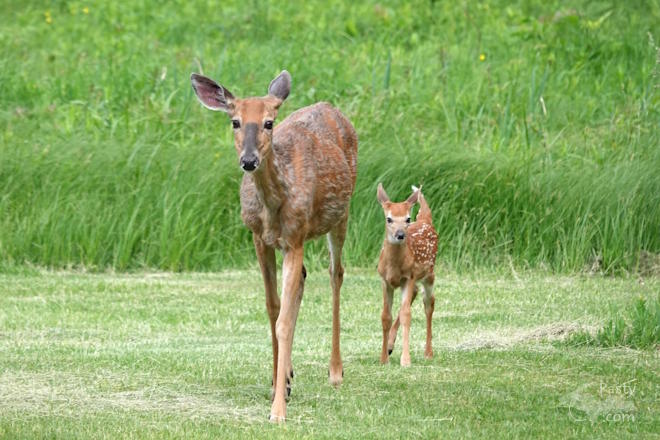 Photo by Nancy Haun