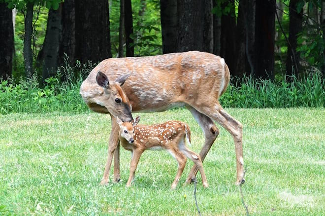 Photo by Nancy Haun