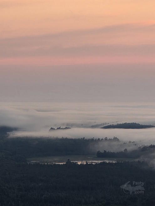Photo by Laurie Bashaw