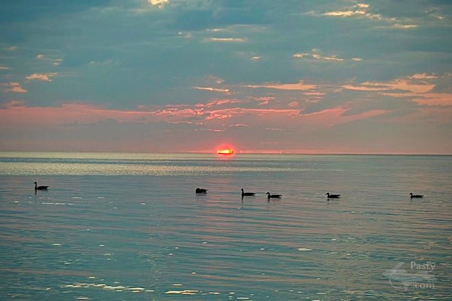 Photo by Bob Fleury