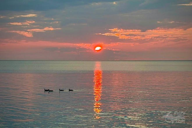 Photo by Bob Fleury