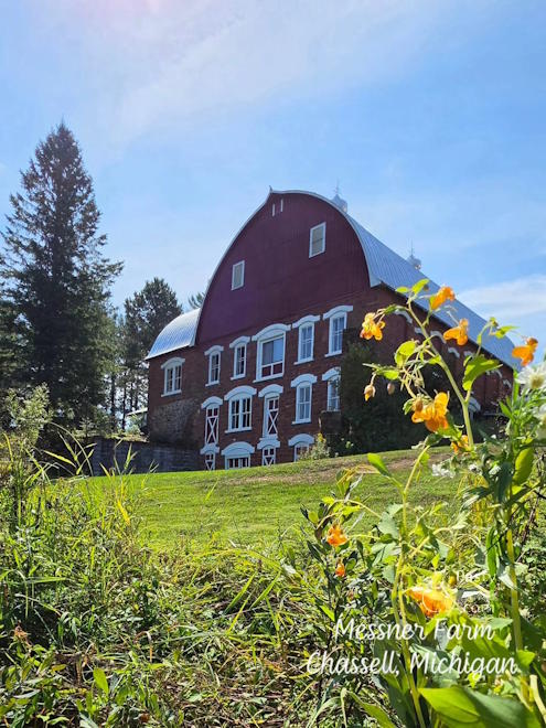 Photo by Messner Farm