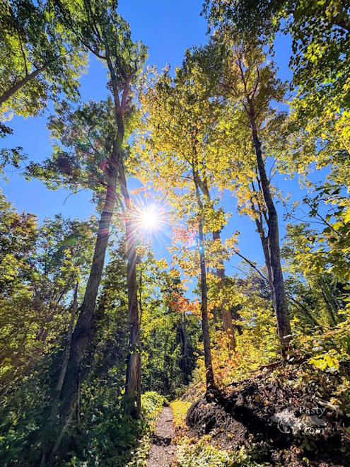 Photo by Marcy Bessolo Hermanson