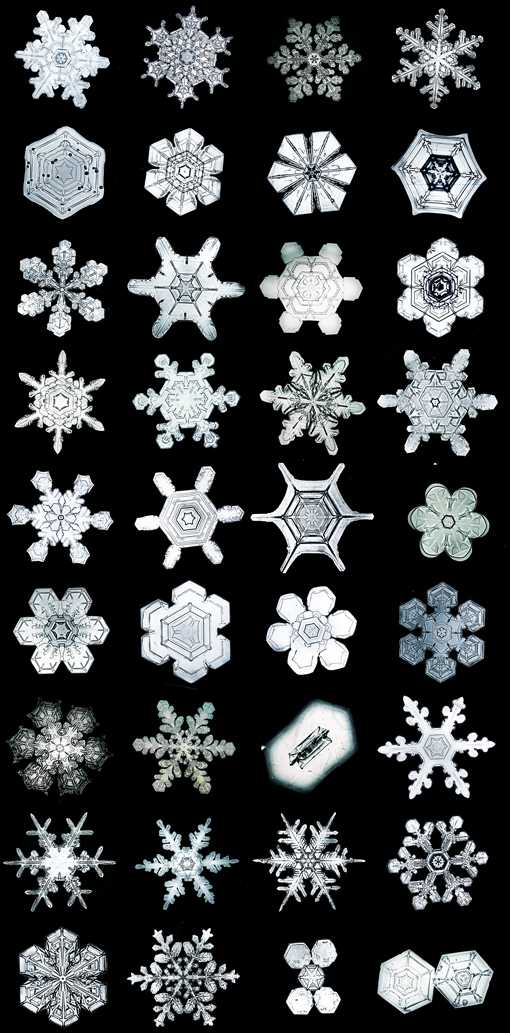 Snowflakes