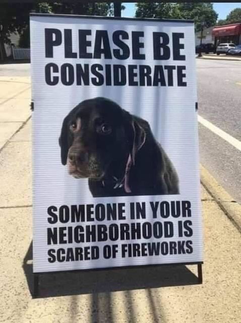 Fireworks Dog