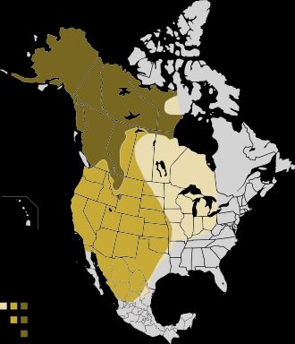 Grizzly range