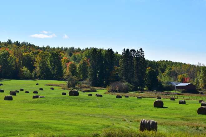 Hay Bales