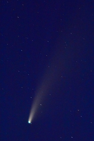 Comet NeoWISE