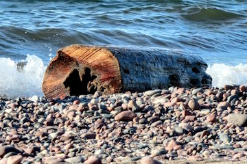 Deb's Rolling Log