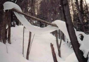 SnowSnake