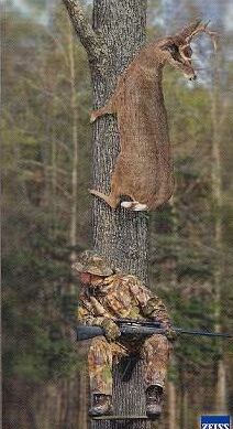 DeerSeason