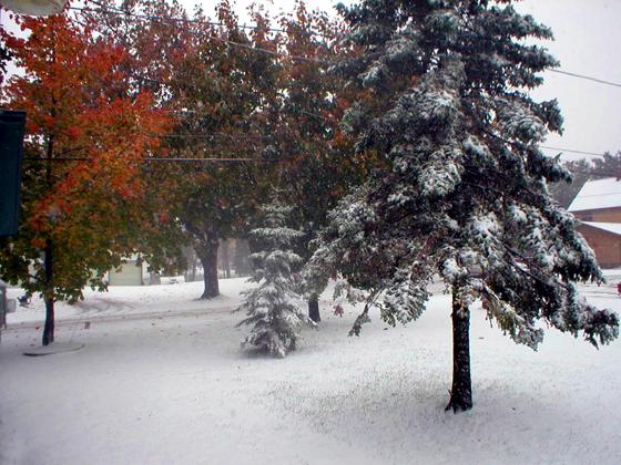 Snow covered colors