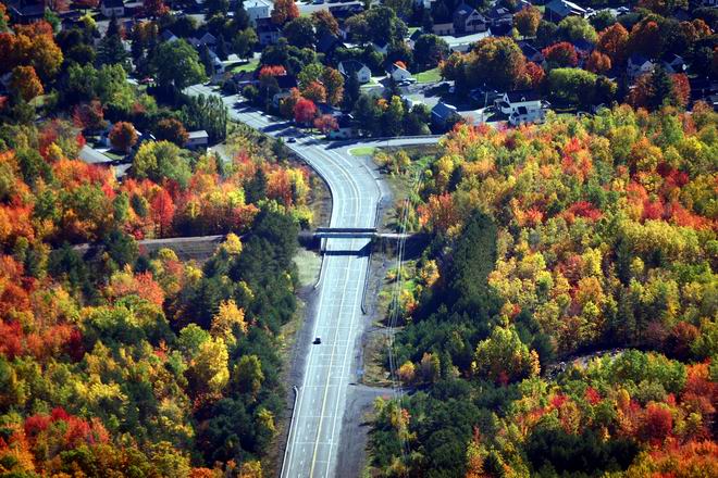 FALL COLOR