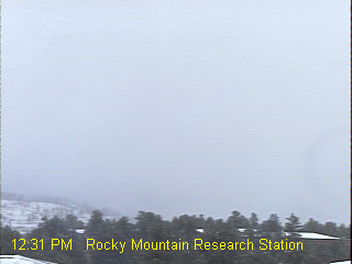 US Forest Service, Rocky Mountain Research Station, Flagstaff, AZ 11-21-2004 12:20PM