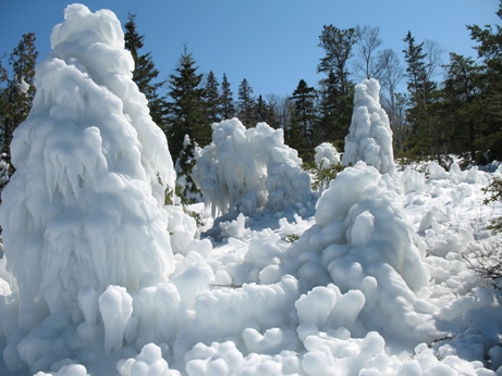 Icing on the trees Easter Week