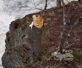 blond visitor at Hungarian Falls