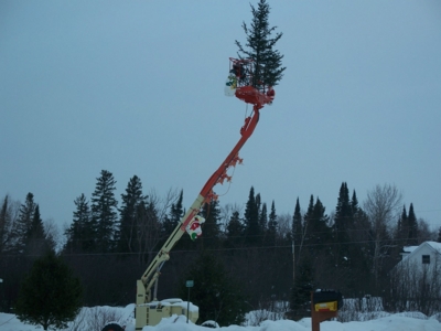 TreeOnCrane2007