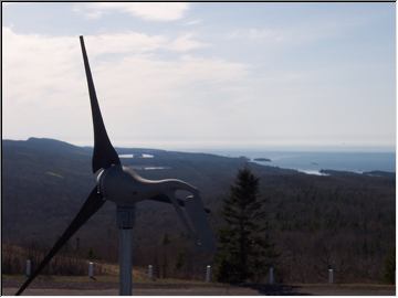 Windswept Brockway