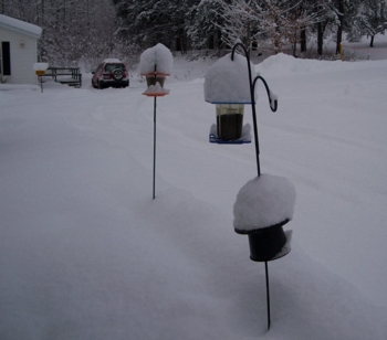 SnowOnBirdfeeders