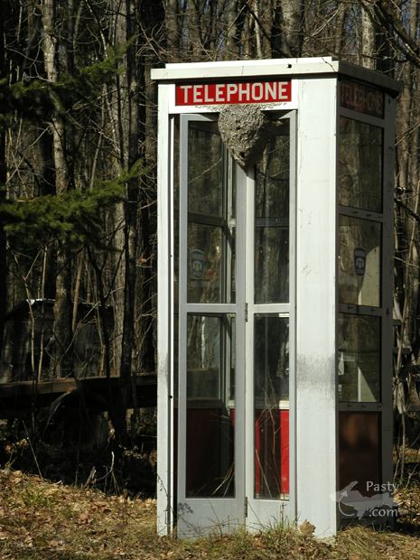 Phonebooth with hornet nest