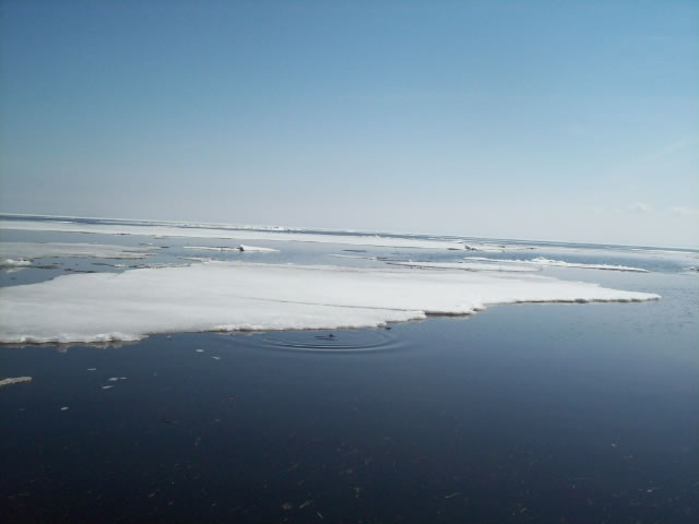 Oconto ice flows