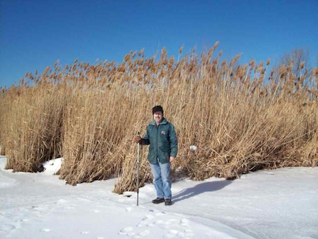 Joe by broom grass