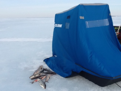 Limit by new tent
