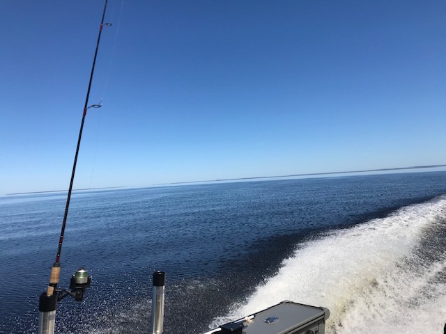 calm seas