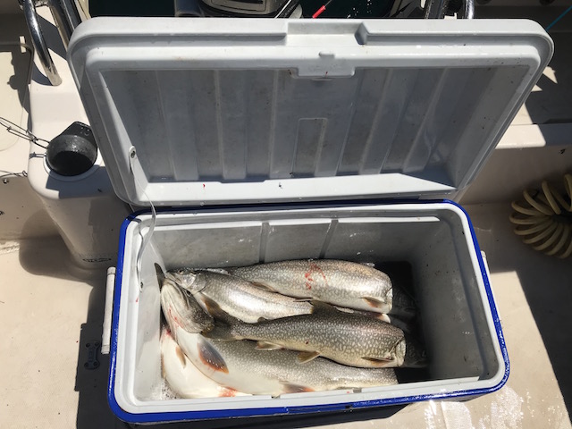 10 fish