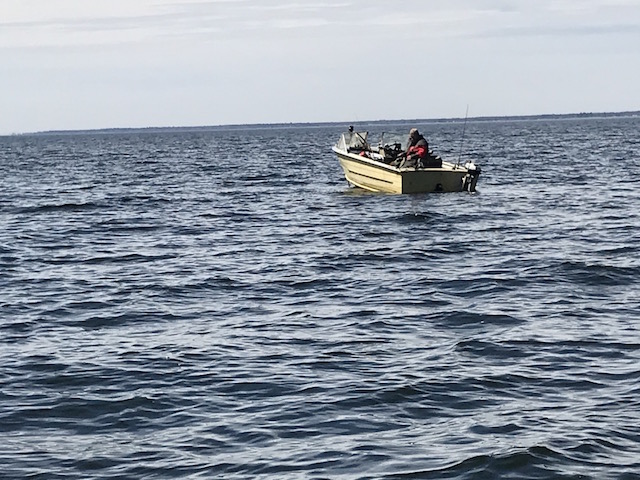 Willys boat
