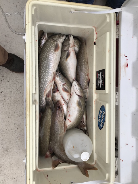 fish box