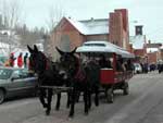parade-horse